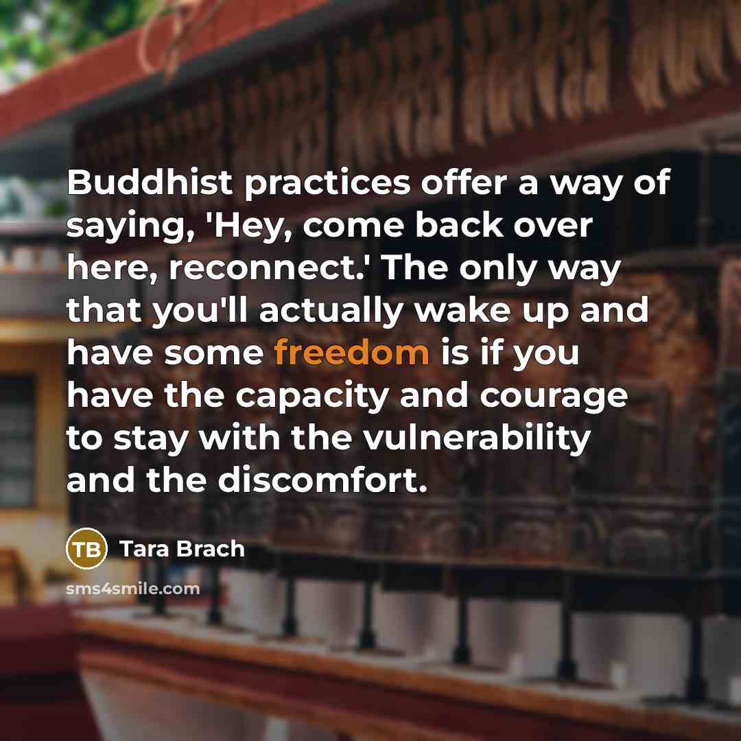 “Buddhist practices offer a way of saying, 'Hey, come back…” quote by Tara Brach