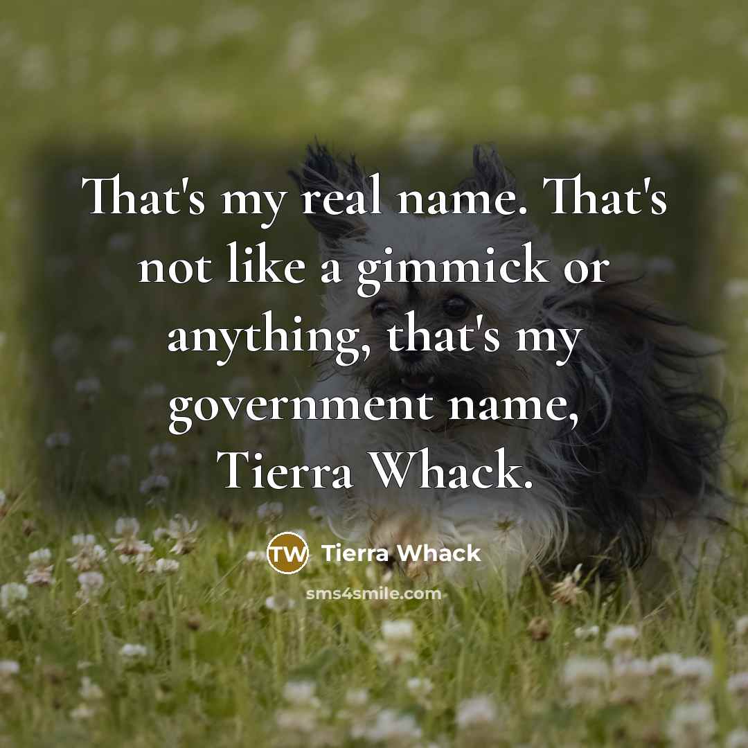 “That's my real name. That's not like a gimmick or…” quote by Tierra Whack
