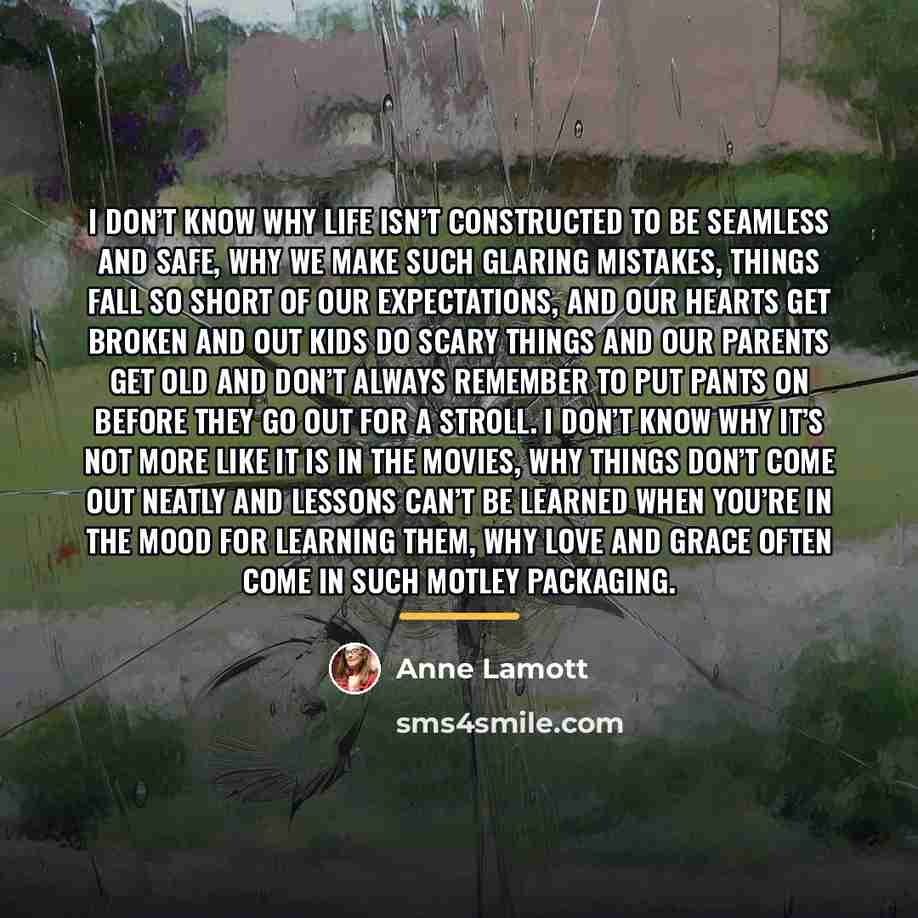 “I don’t know why life isn’t constructed to be seamless…” quote by Anne Lamott