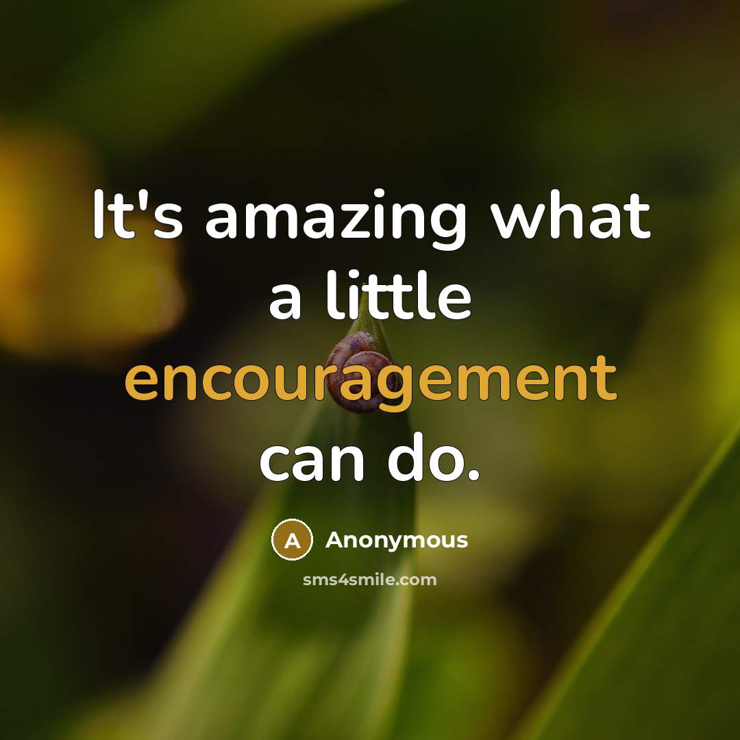 “It's amazing what a little encouragement can do.…” quote by Anonymous