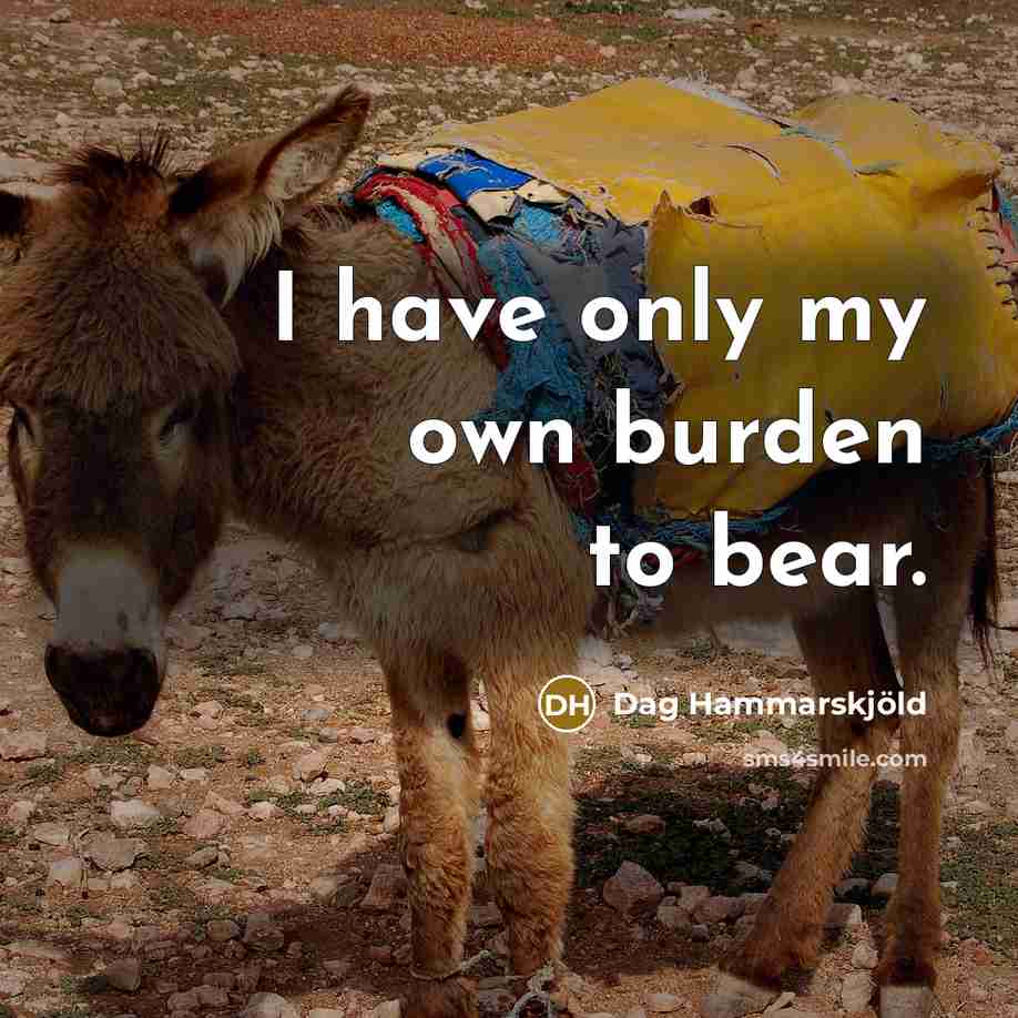 “I have only my own burden to bear.…” quote by Dag Hammarskjold