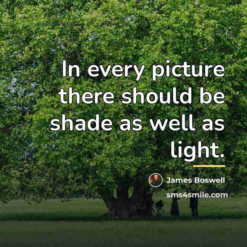 “In every picture there should be shade as well as…” quote by James Boswell