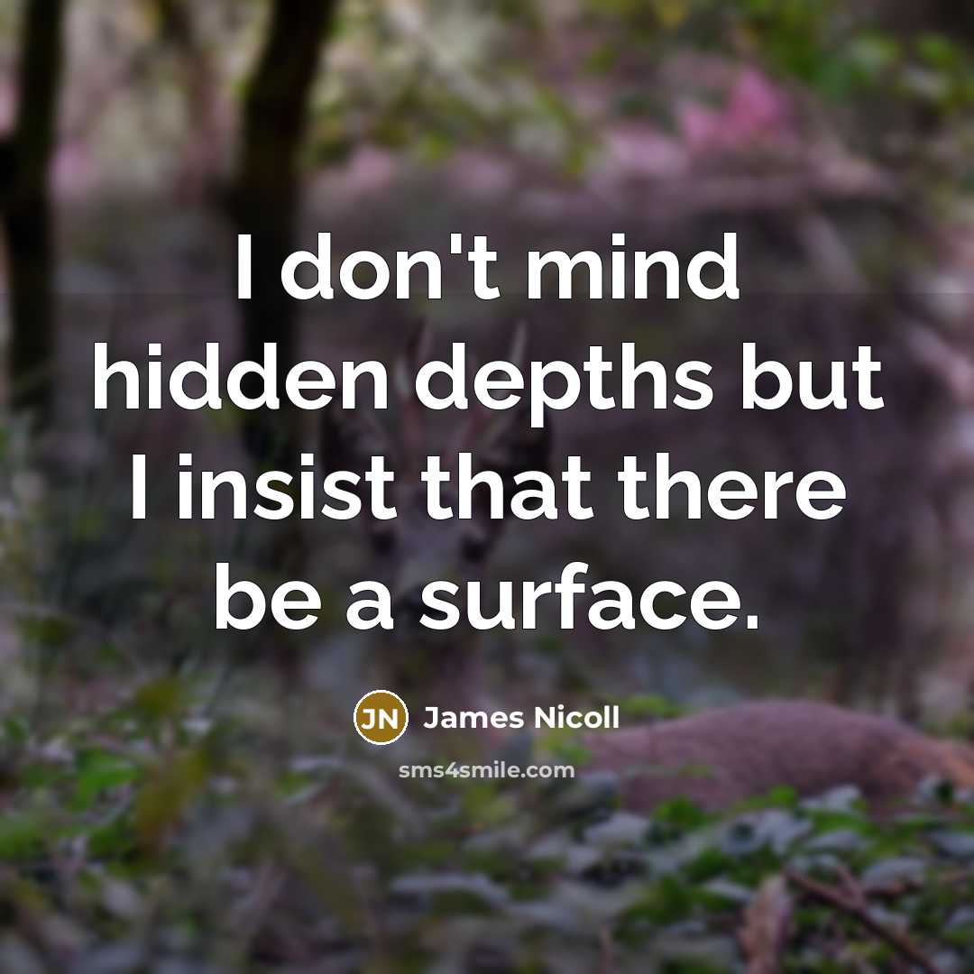 “I don't mind hidden depths but I insist that there…” quote by James Nicoll