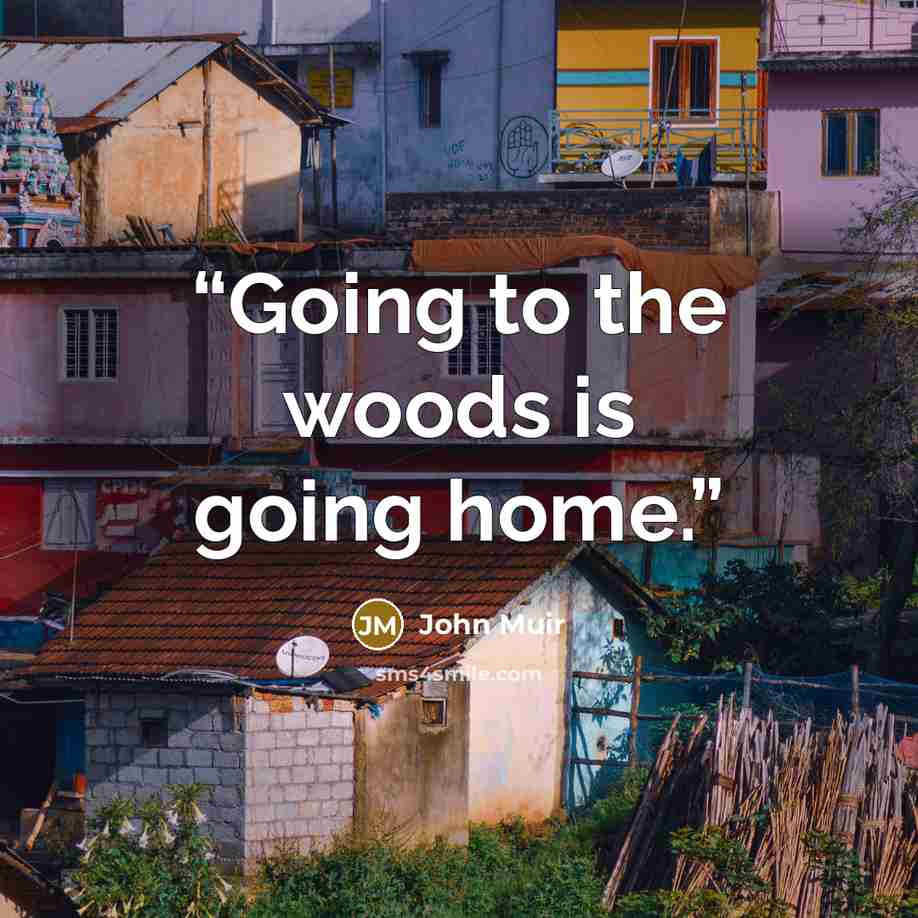 “Going to the woods is going home.” quote by John Muir