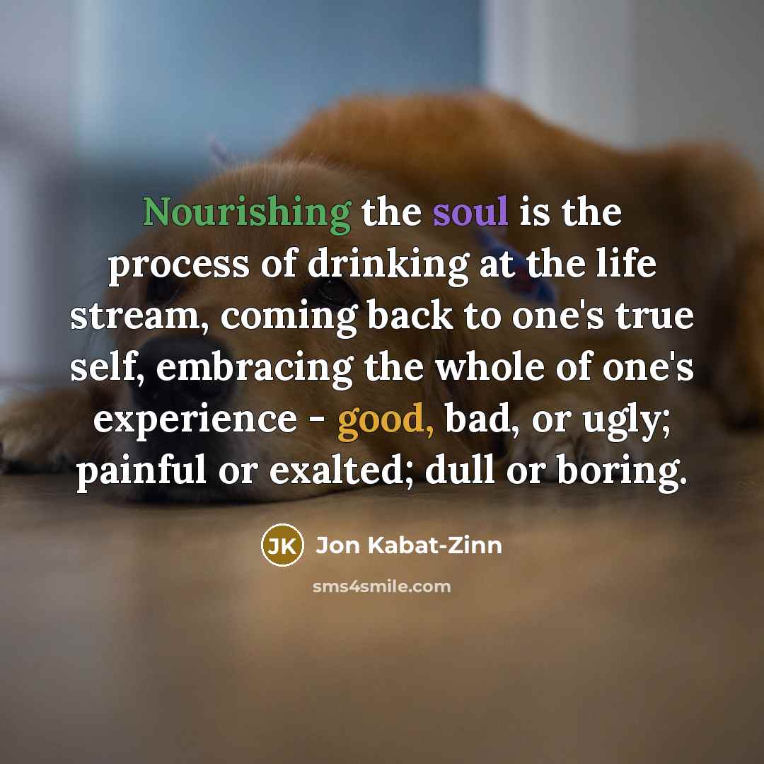 “Nourishing the soul is the process of drinking at the…” quote by Jon Kabat-Zinn