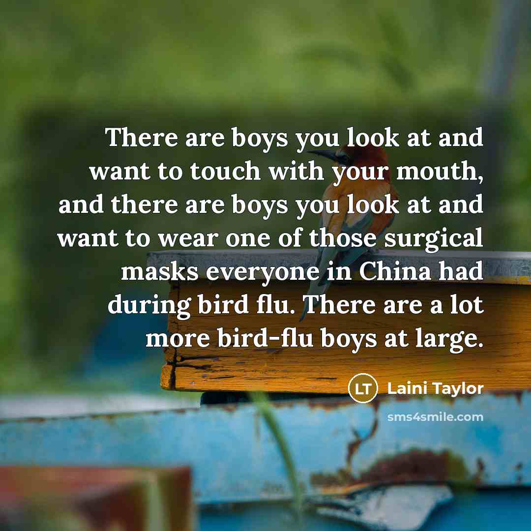 “There are boys you look at and want to touch…” quote by Laini Taylor
