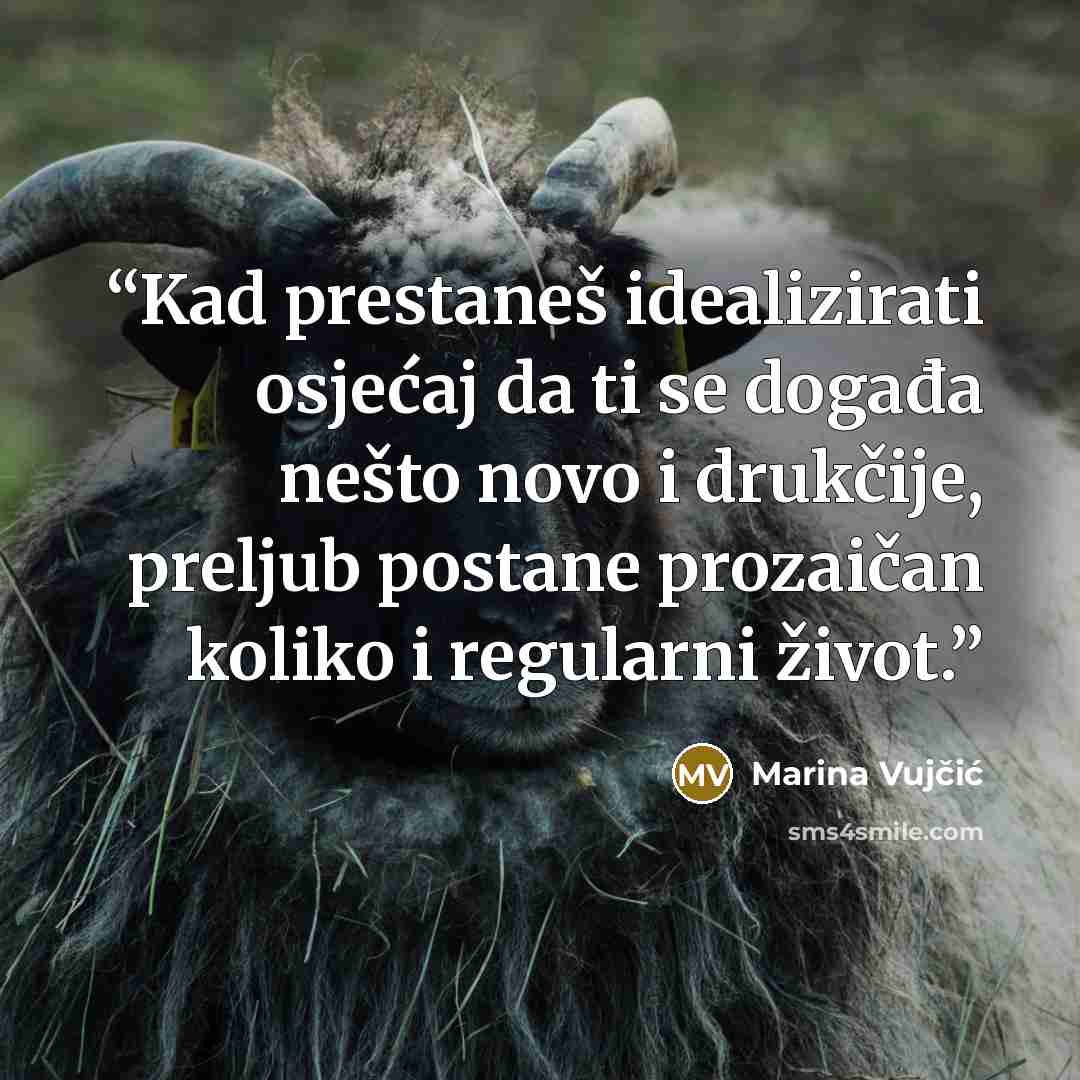 “Kad prestaneš idealizirati osjećaj da ti se događa nešto novo i drukčije, preljub postane prozaičan koliko i regularni život.” quote by Marina Vujčić