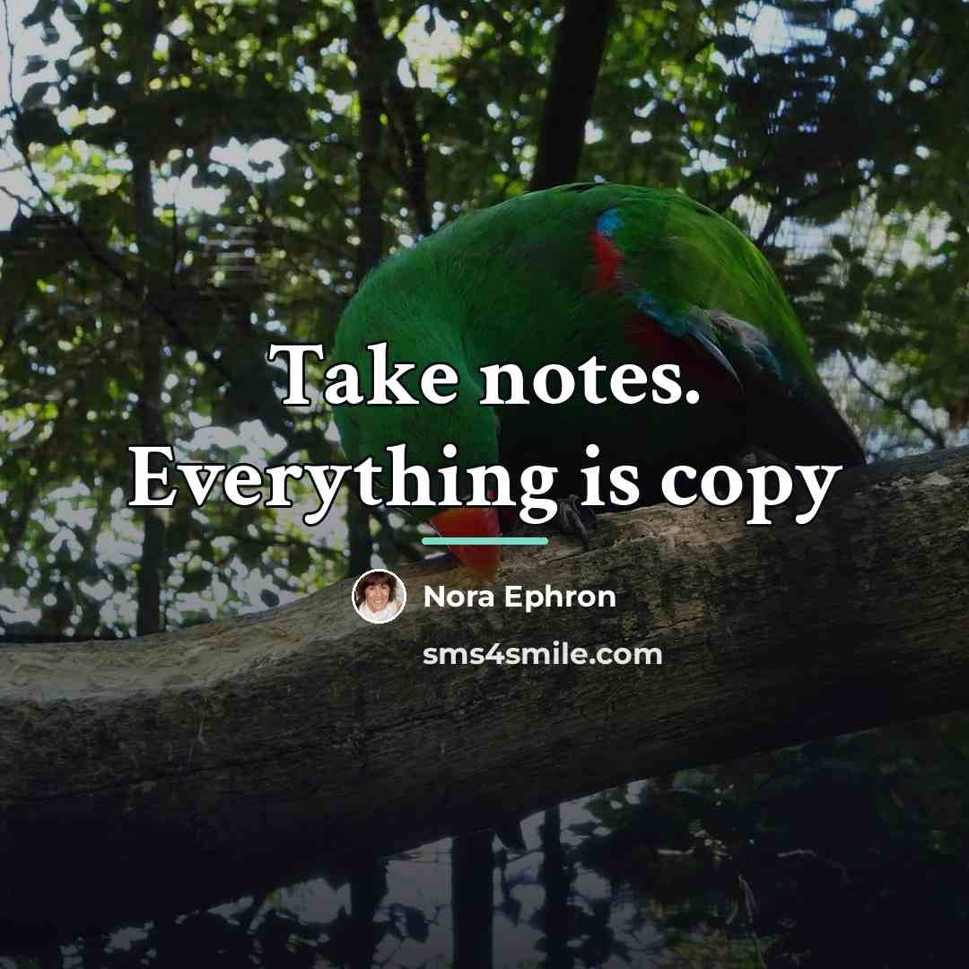 “Take notes. Everything is copy…” quote by Nora Ephron
