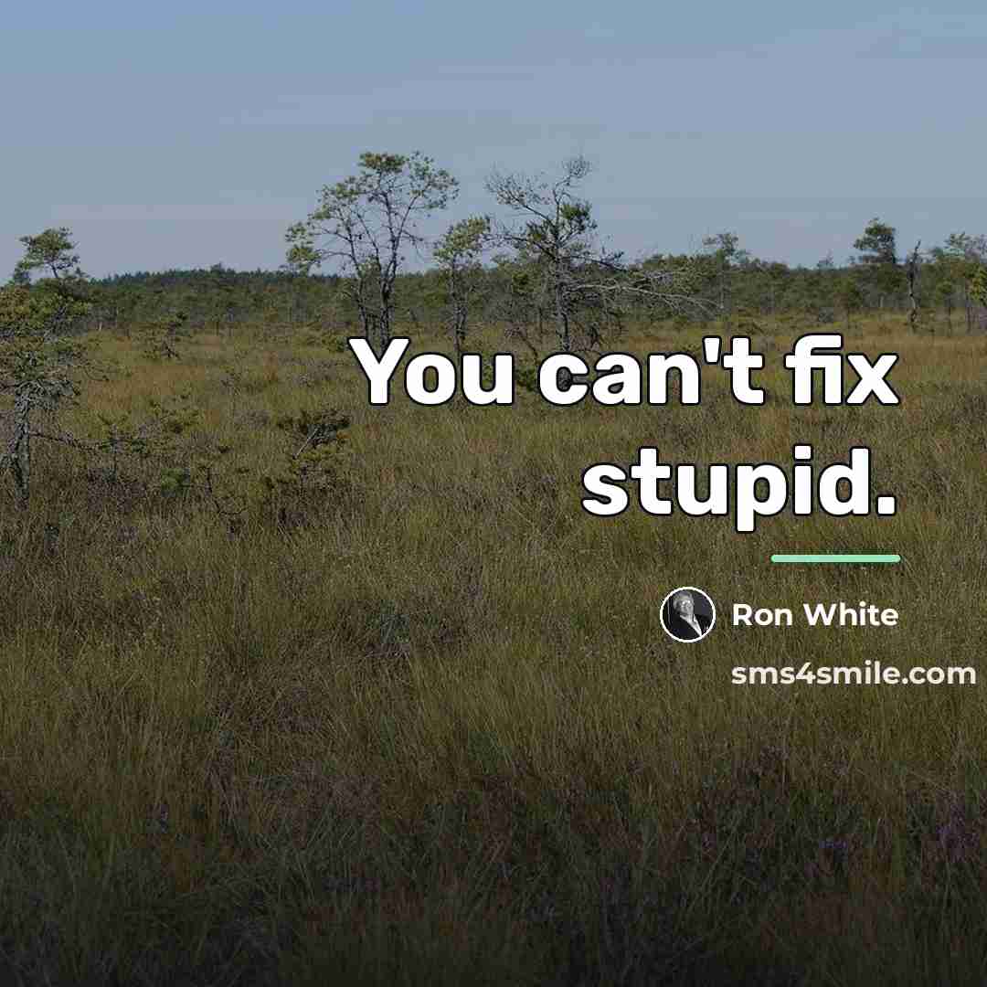 “You can't fix stupid.…” quote by Ron White