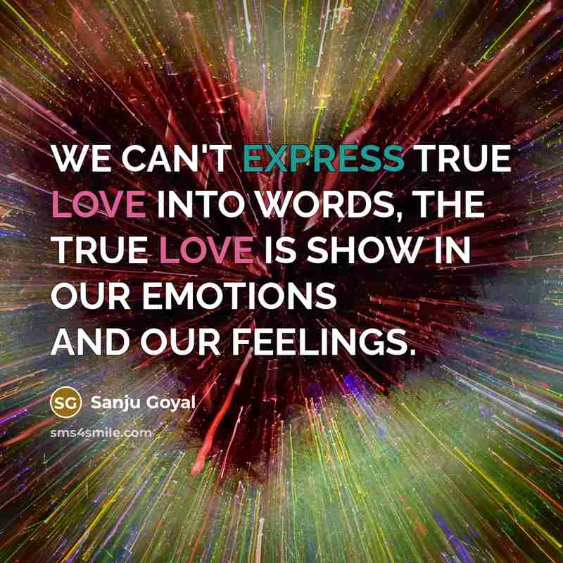 “WE CAN'T EXPRESS TRUE LOVE INTO WORDS, THE TRUE LOVE IS SHOW IN OUR EMOTIONS AND OUR FEELINGS.” quote by SANJU GOYAL