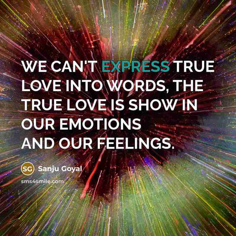 “WE CAN'T EXPRESS TRUE LOVE INTO WORDS, THE TRUE LOVE…” quote by SANJU GOYAL