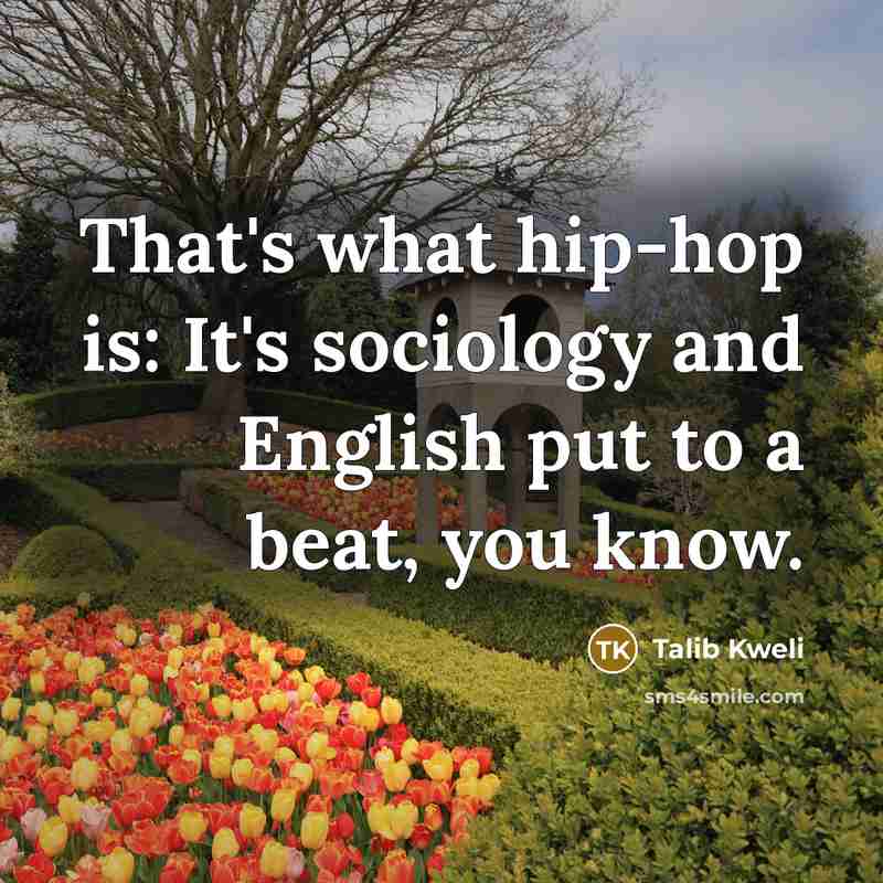 “That's what hip-hop is: It's sociology and English put to…” quote by Talib Kweli