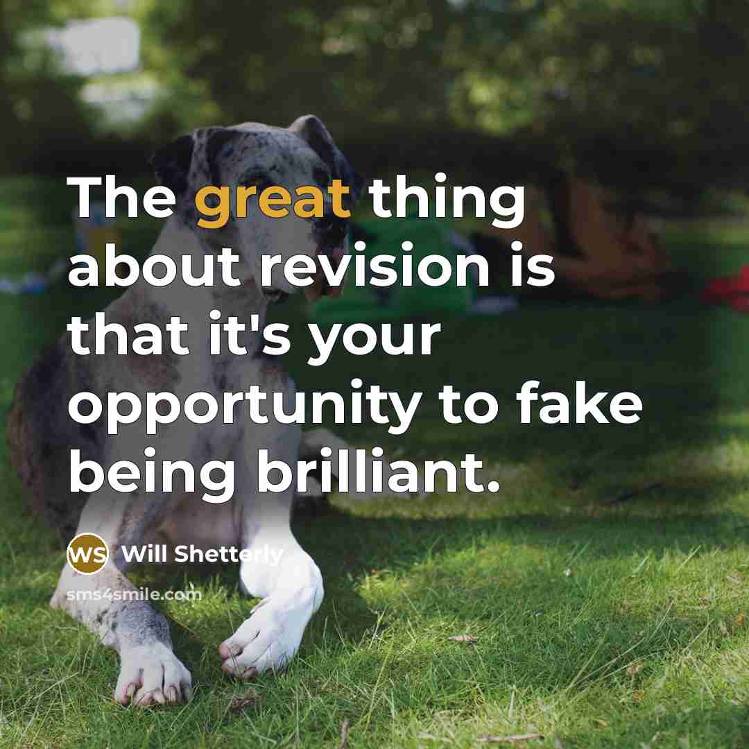 “The great thing about revision is that it's your opportunity…” quote by Will Shetterly