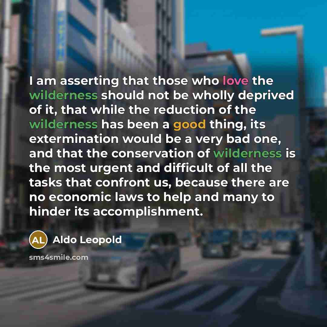 “I am asserting that those who love the wilderness should…” quote by Aldo Leopold