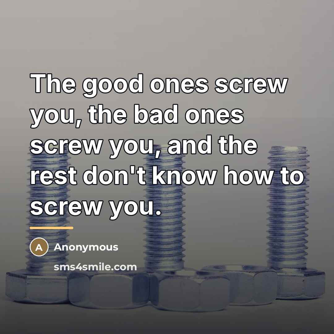 “The good ones screw you, the bad ones screw you, and the rest don't know how to screw you.” quote by Anonymous