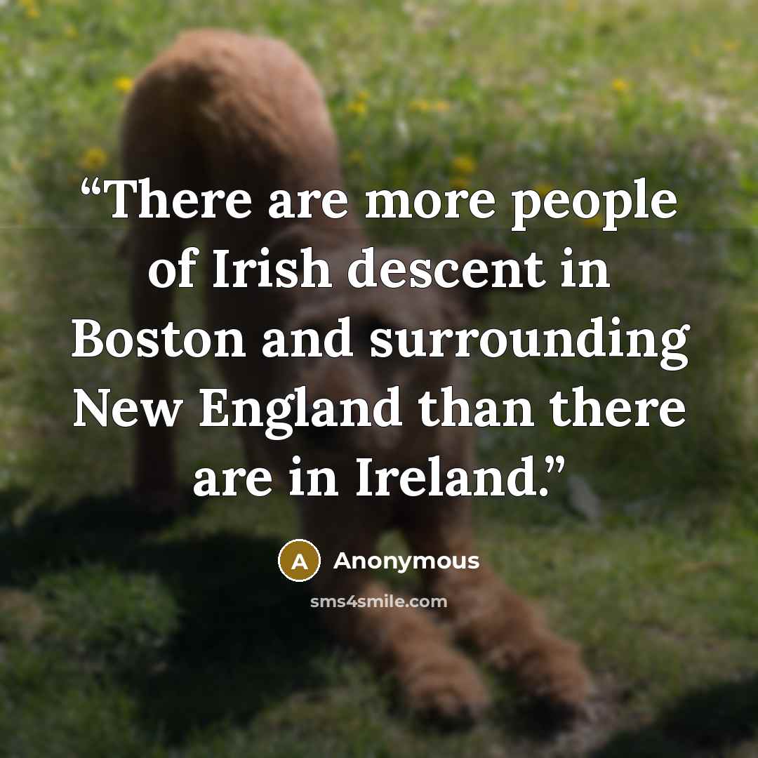 “There are more people of Irish descent in Boston and surrounding New England than there are in Ireland.” quote by Anonymous