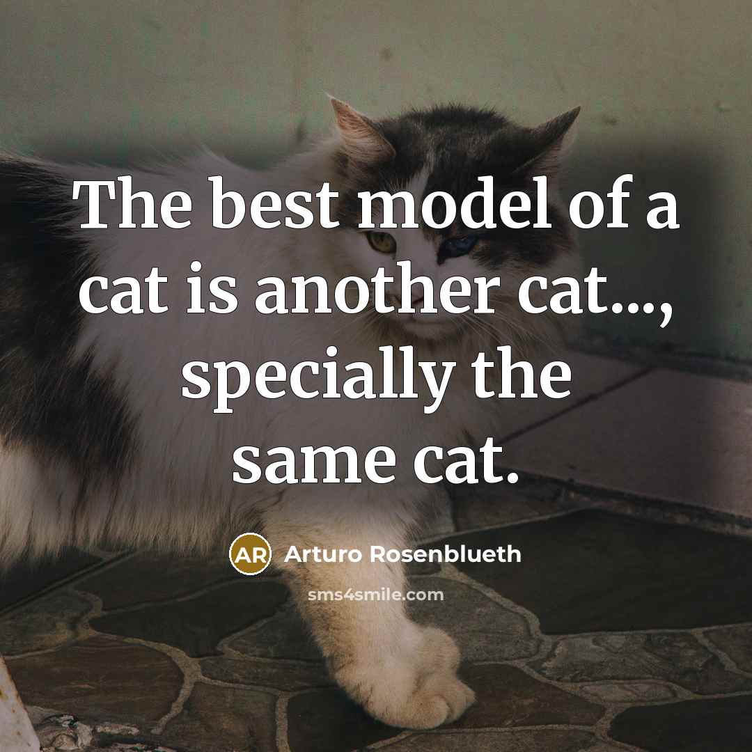 “The best model of a cat is another cat..., specially…” quote by Arturo Rosenblueth