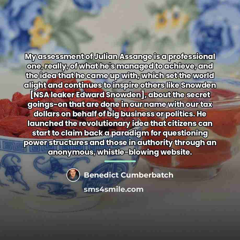 “My assessment of Julian Assange is a professional one, really,…” quote by Benedict Cumberbatch