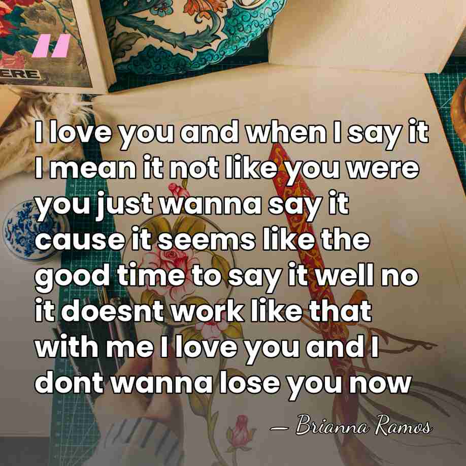 I love you and when I say it I mean it not&hellip; - Brianna Ramos