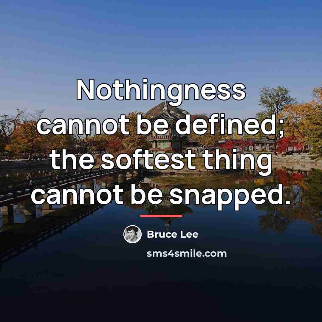 “Nothingness cannot be defined; the softest thing cannot be snapped.…” quote by Bruce Lee