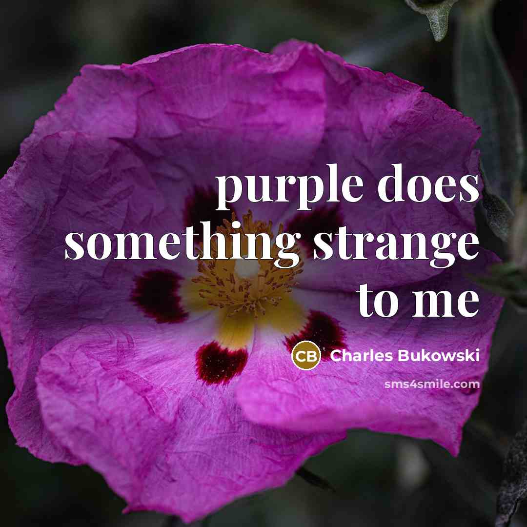 “purple does something strange to me…” quote by Charles Bukowski