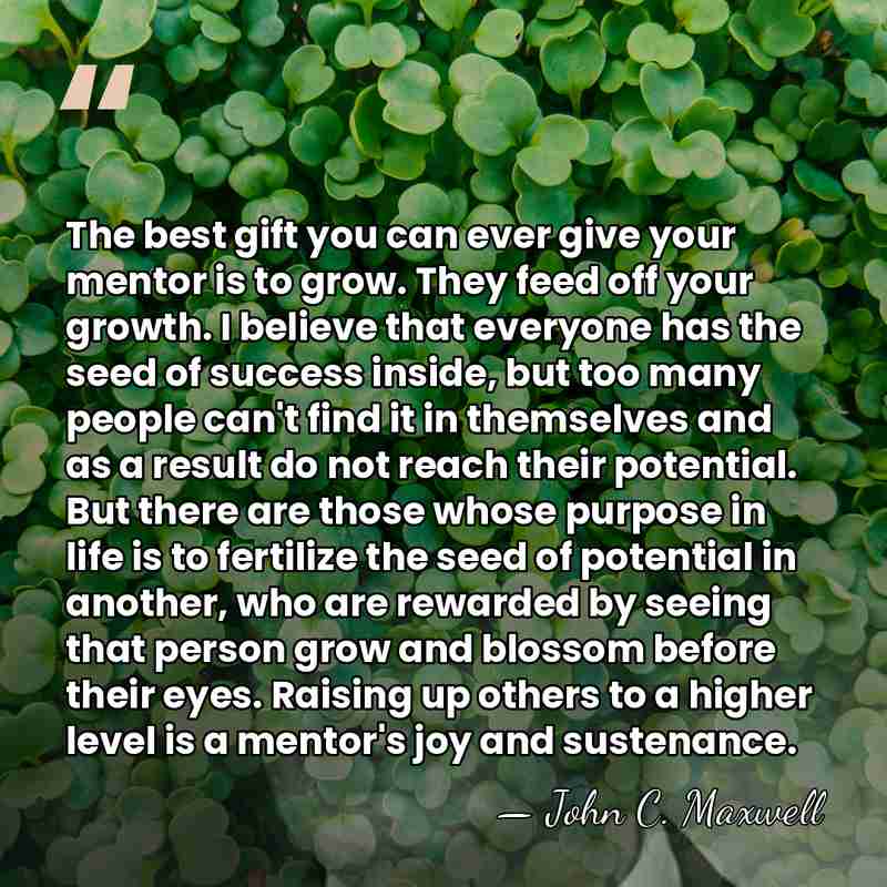 The best gift you can ever give your mentor is to grow.&hellip; - John C. Maxwell