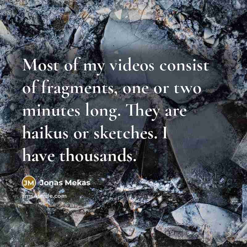 “Most of my videos consist of fragments, one or two…” quote by Jonas Mekas