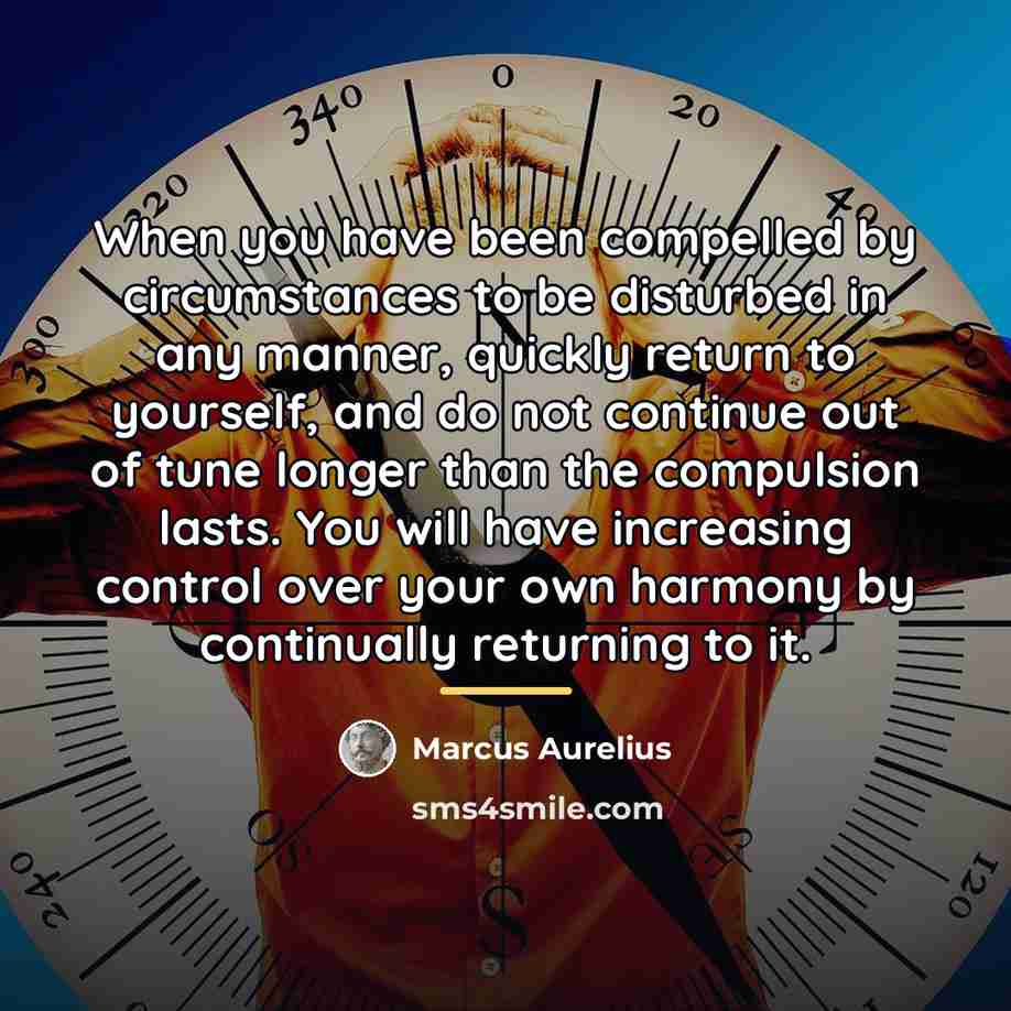 “When you have been compelled by circumstances to be disturbed…” quote by Marcus Aurelius