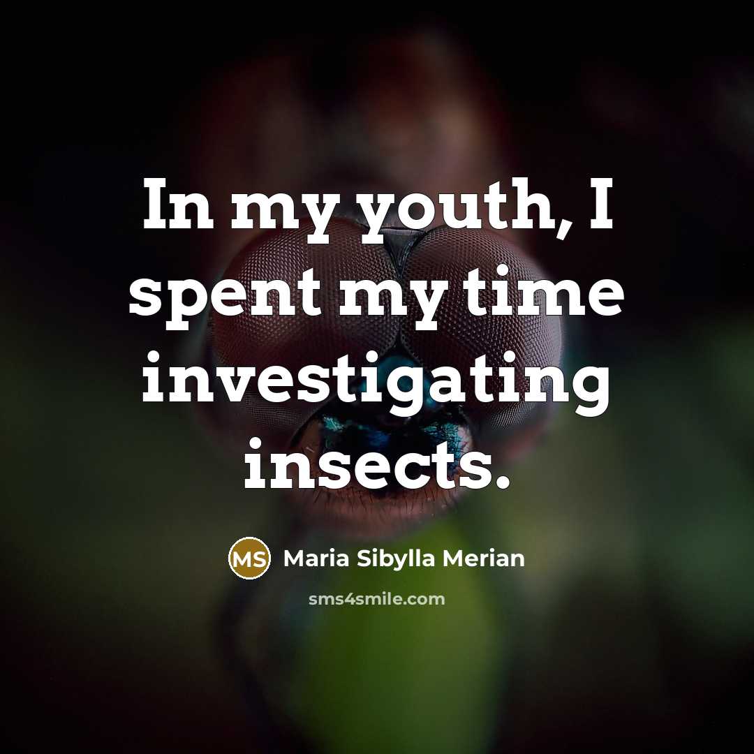 “In my youth, I spent my time investigating insects.…” quote by Maria Sibylla Merian