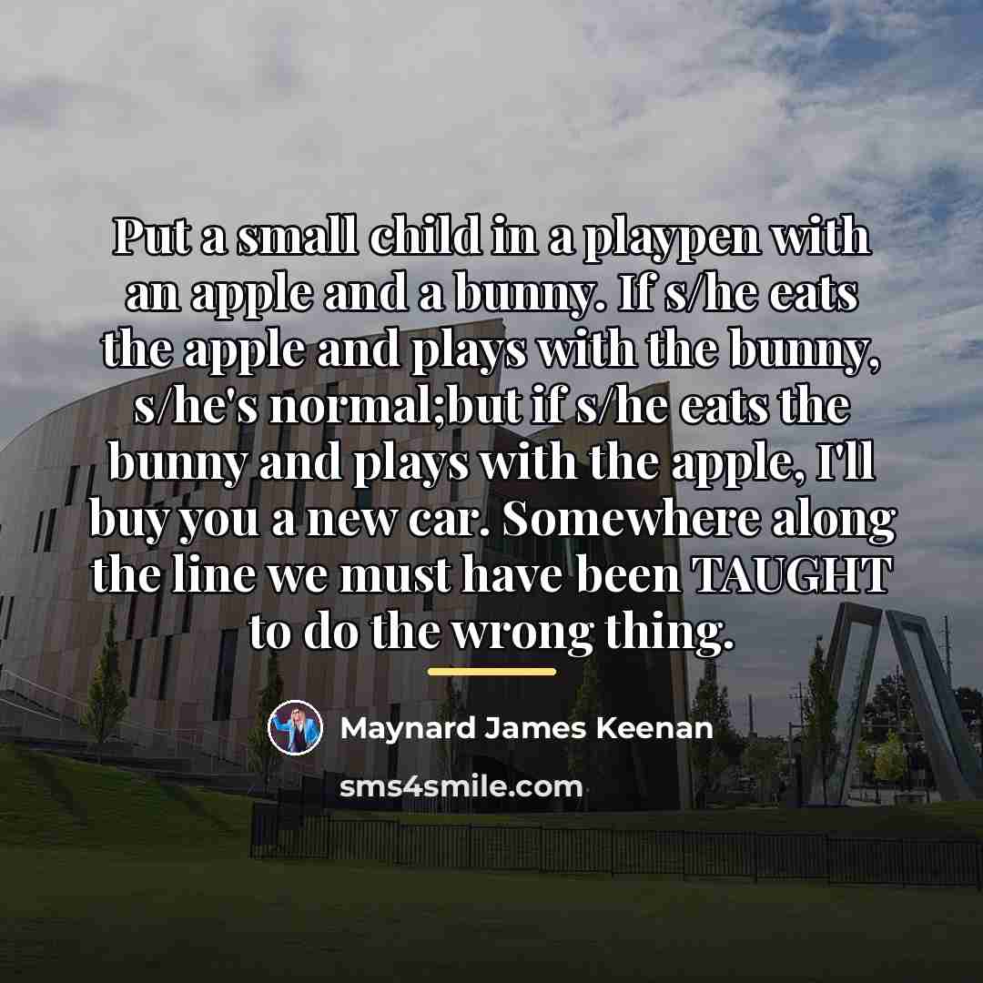 “Put a small child in a playpen with an apple…” quote by Maynard James Keenan