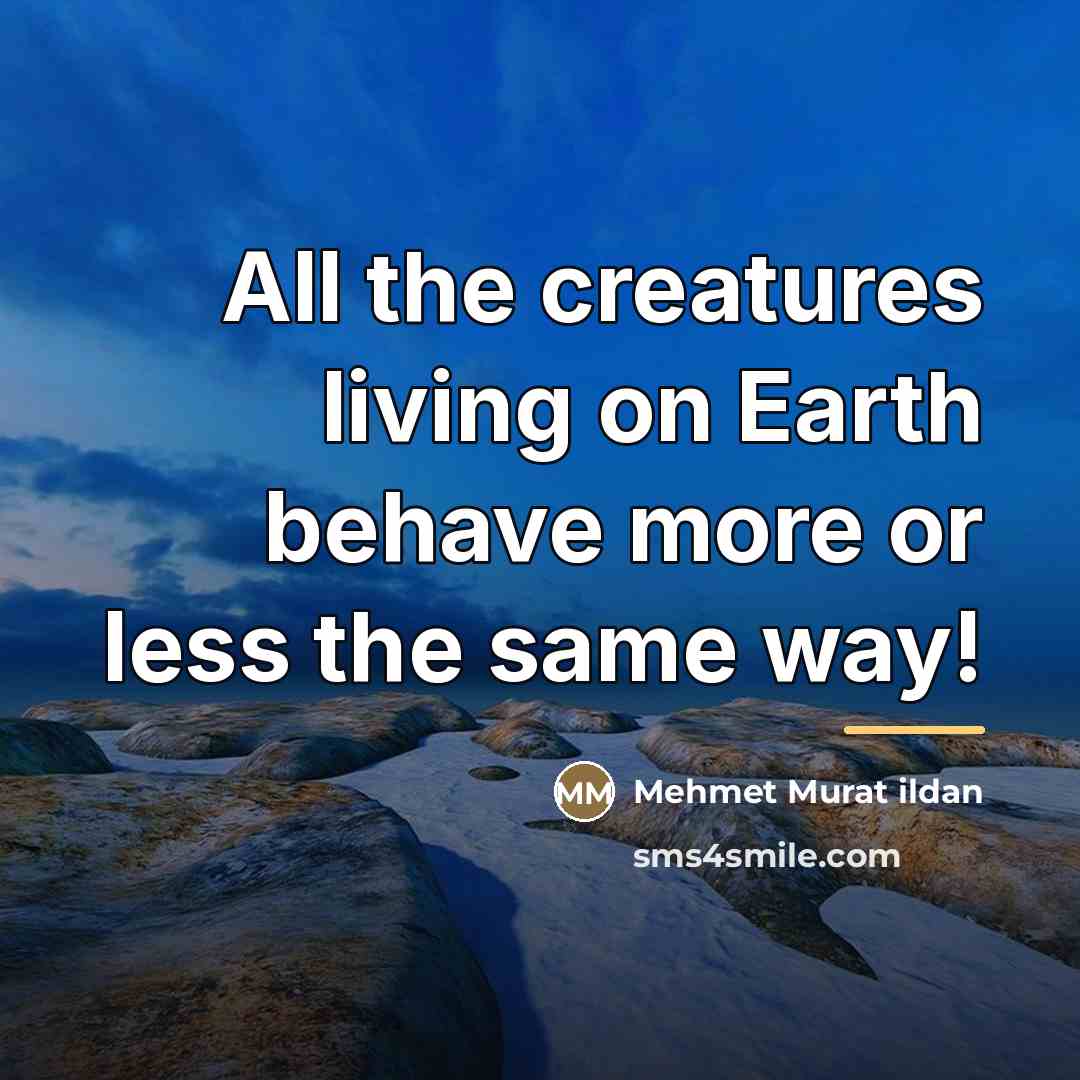 “All the creatures living on Earth behave more or less…” quote by Mehmet Murat Ildan