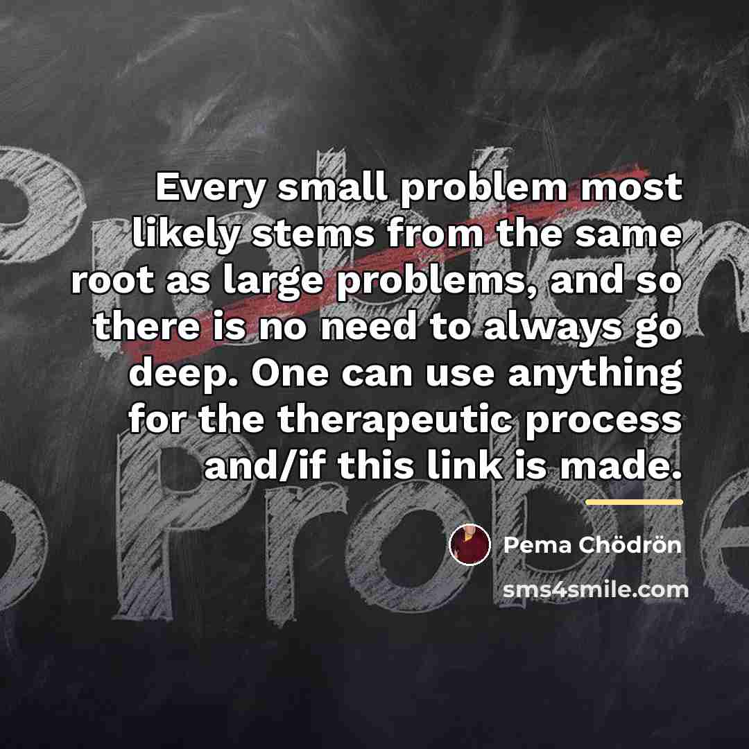 “Every small problem most likely stems from the same root…” quote by Pema Chodron