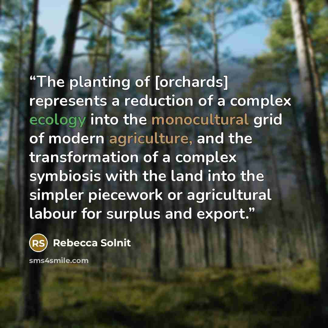 “The planting of [orchards] represents a reduction of a complex ecology into the monocultural grid of modern agriculture, and the transformation of a complex symbiosis with the land into the simpler piecework or agricultural labour for surplus and export.” quote by Rebecca Solnit