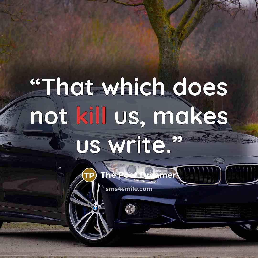 “That which does not kill us, makes us write.” quote by The Poet Dreamer