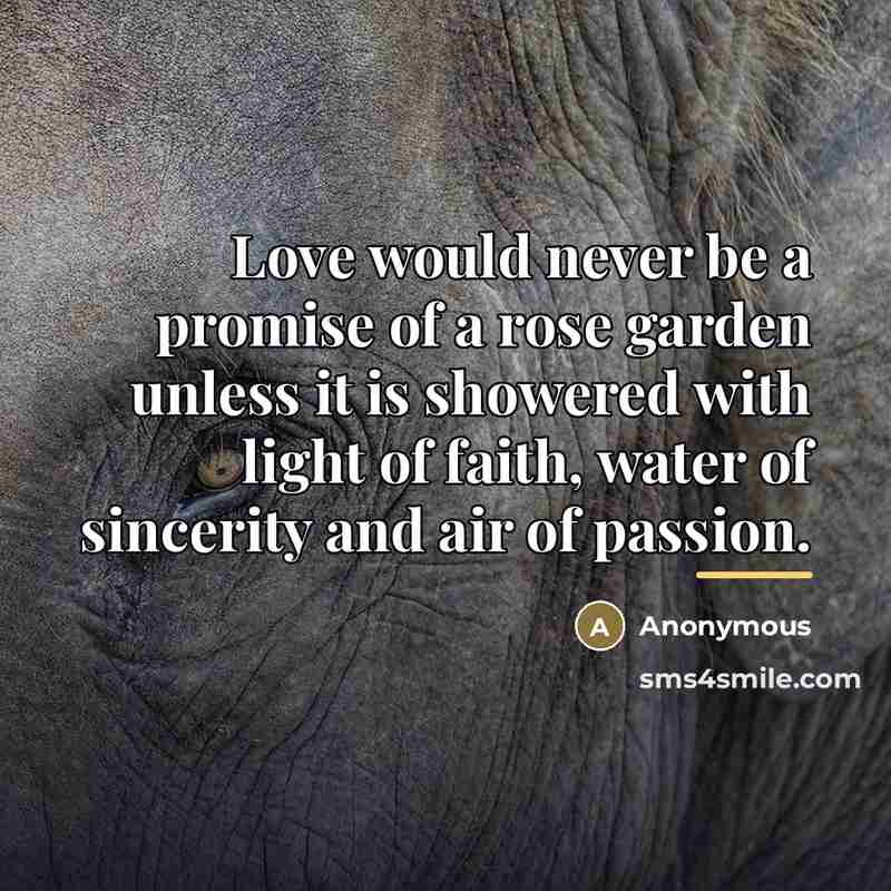 “Love would never be a promise of a rose garden…” quote by Anonymous