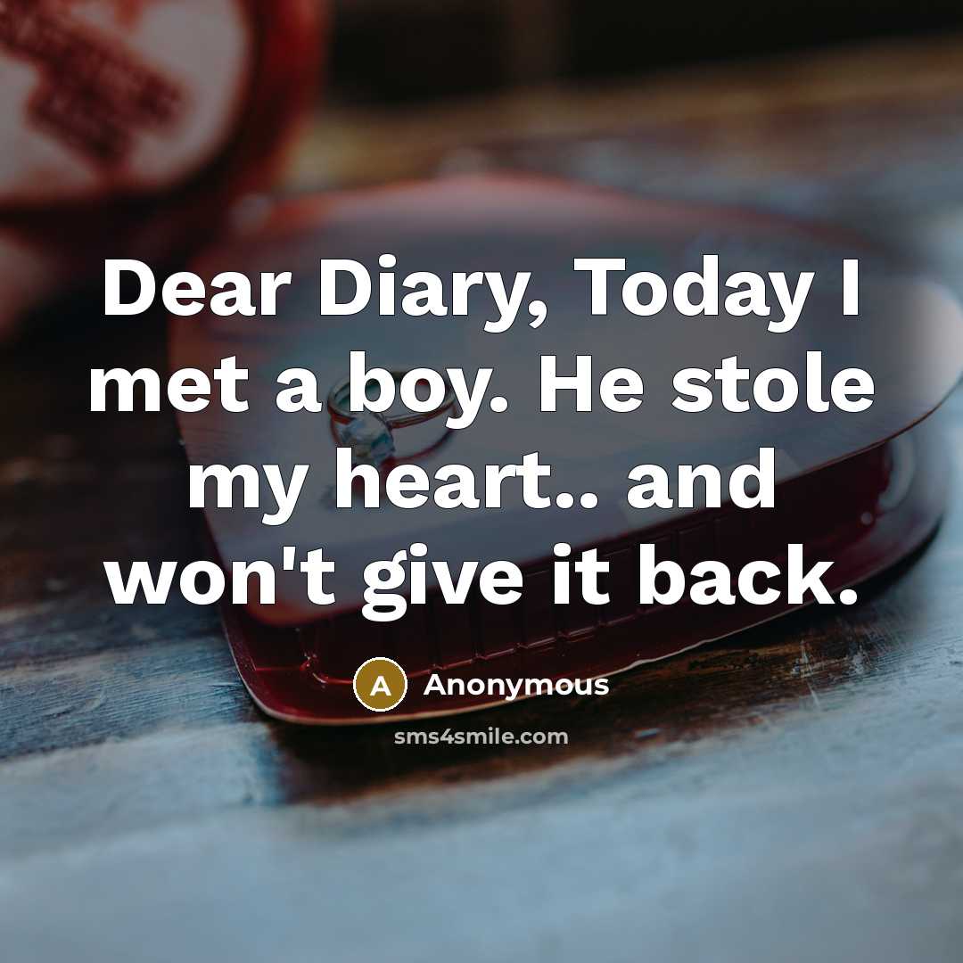 “Dear Diary, Today I met a boy. He stole my…” quote by Anonymous