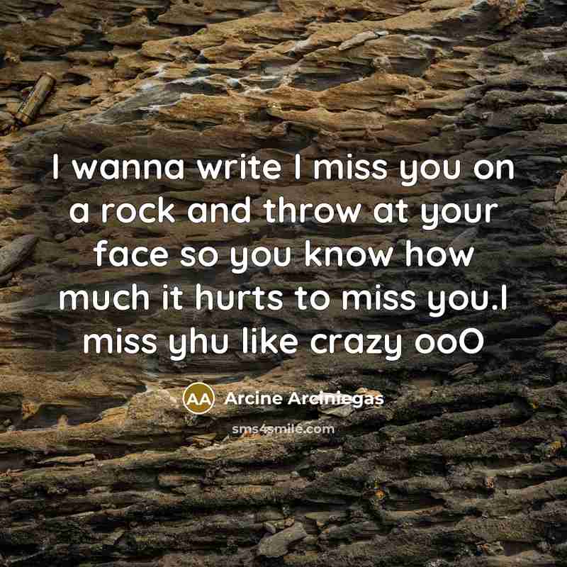 “I wanna write I miss you on a rock and…” quote by Arcine Arciniegas