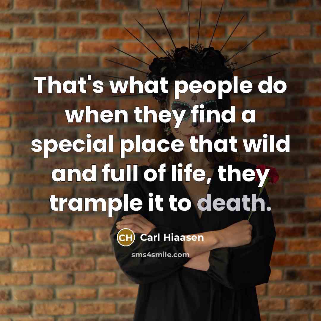 “That's what people do when they find a special place…” quote by Carl Hiaasen