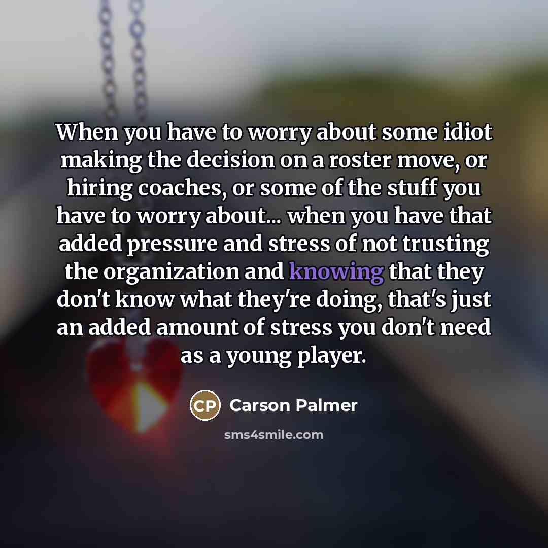 “When you have to worry about some idiot making the…” quote by Carson Palmer