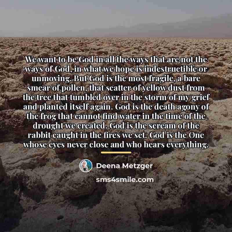 “We want to be God in all the ways that…” quote by Deena Metzger