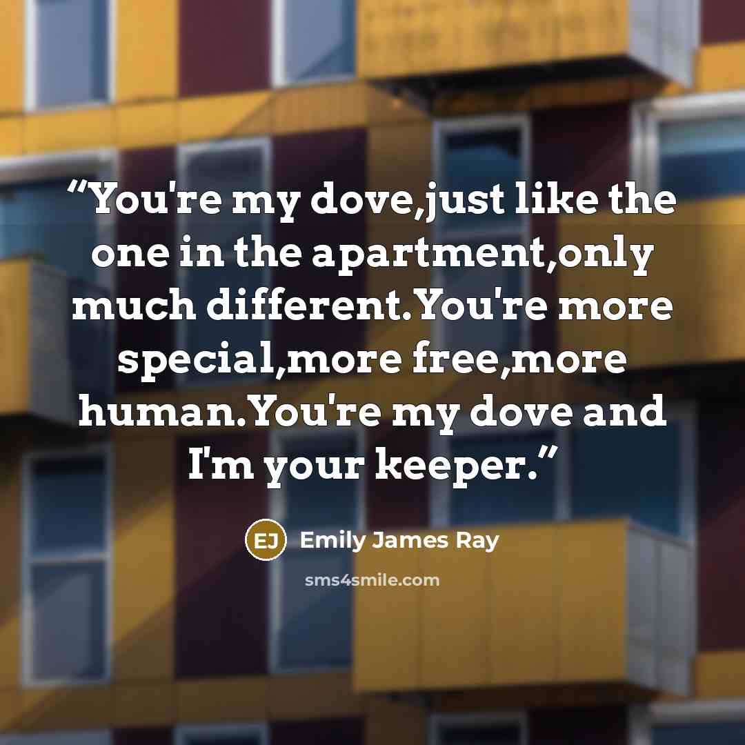 “You're my dove,just like the one in the apartment,only much different.You're more special,more free,more human.You're my dove and I'm your keeper.” quote by Emily James Ray
