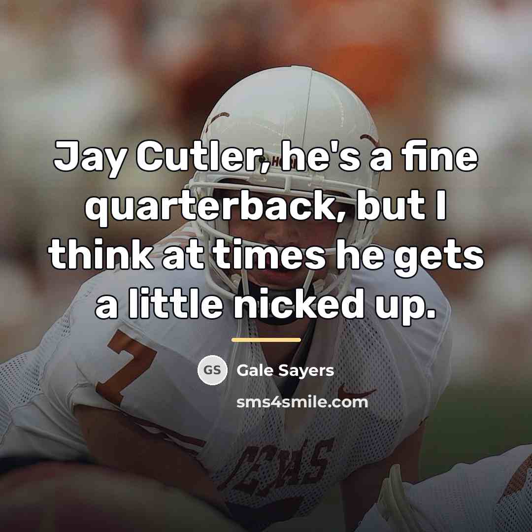 “Jay Cutler, he's a fine quarterback, but I think at…” quote by Gale Sayers