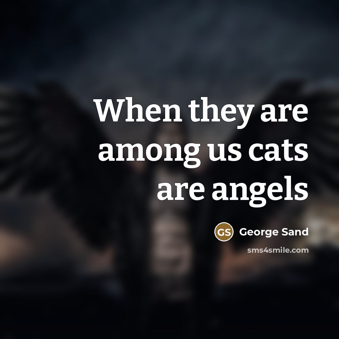 “When they are among us cats are angels…” quote by George Sand