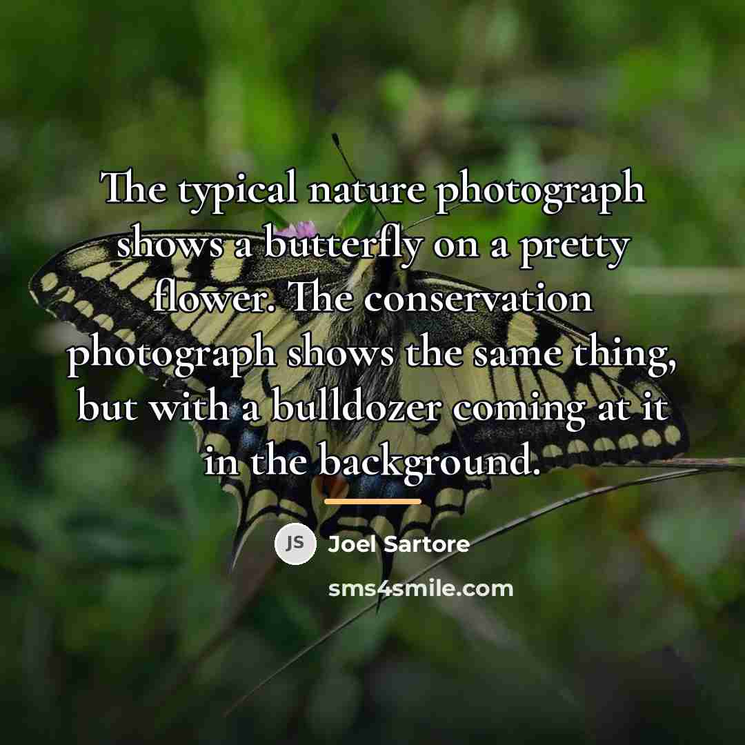 “The typical nature photograph shows a butterfly on a pretty…” quote by Joel Sartore