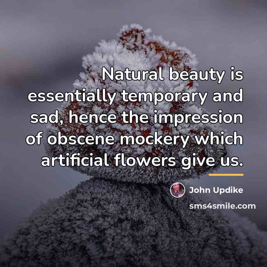 “Natural beauty is essentially temporary and sad, hence the impression…” quote by John Updike