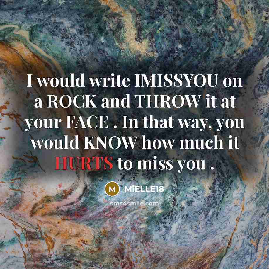 “I would write IMISSYOU on a ROCK and THROW it at your FACE . In that way, you would KNOW how much it HURTS to miss you .” quote by MiELLE18