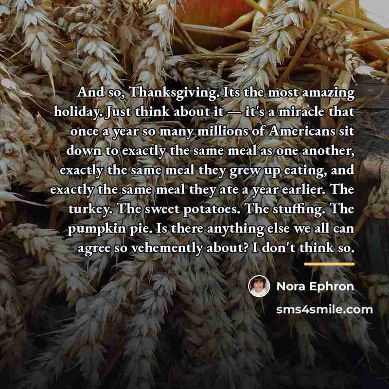 “And so, Thanksgiving. Its the most amazing holiday. Just think…” quote by Nora Ephron