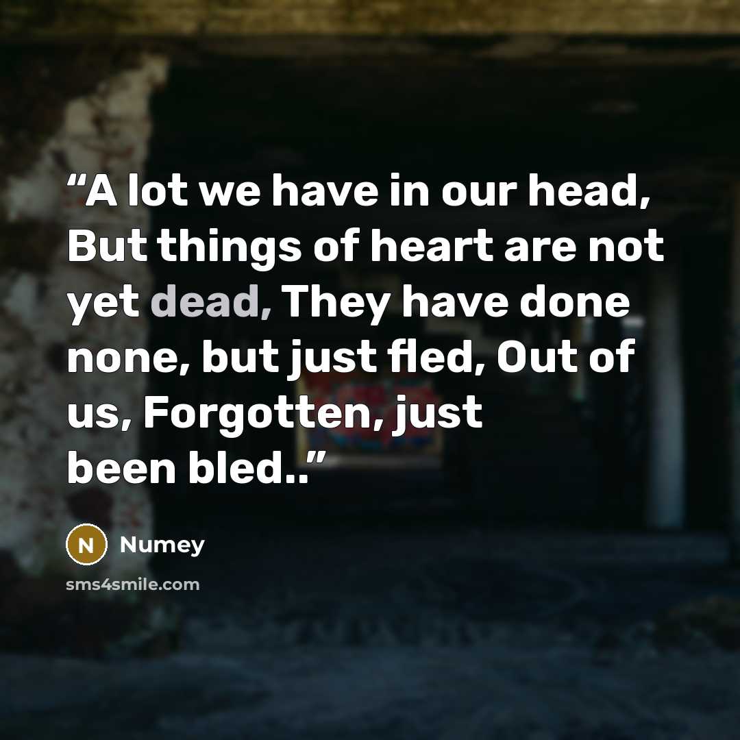 “A lot we have in our head, But things of heart are not yet dead, They have done none, but just fled, Out of us, Forgotten, just been bled..” quote by Numey