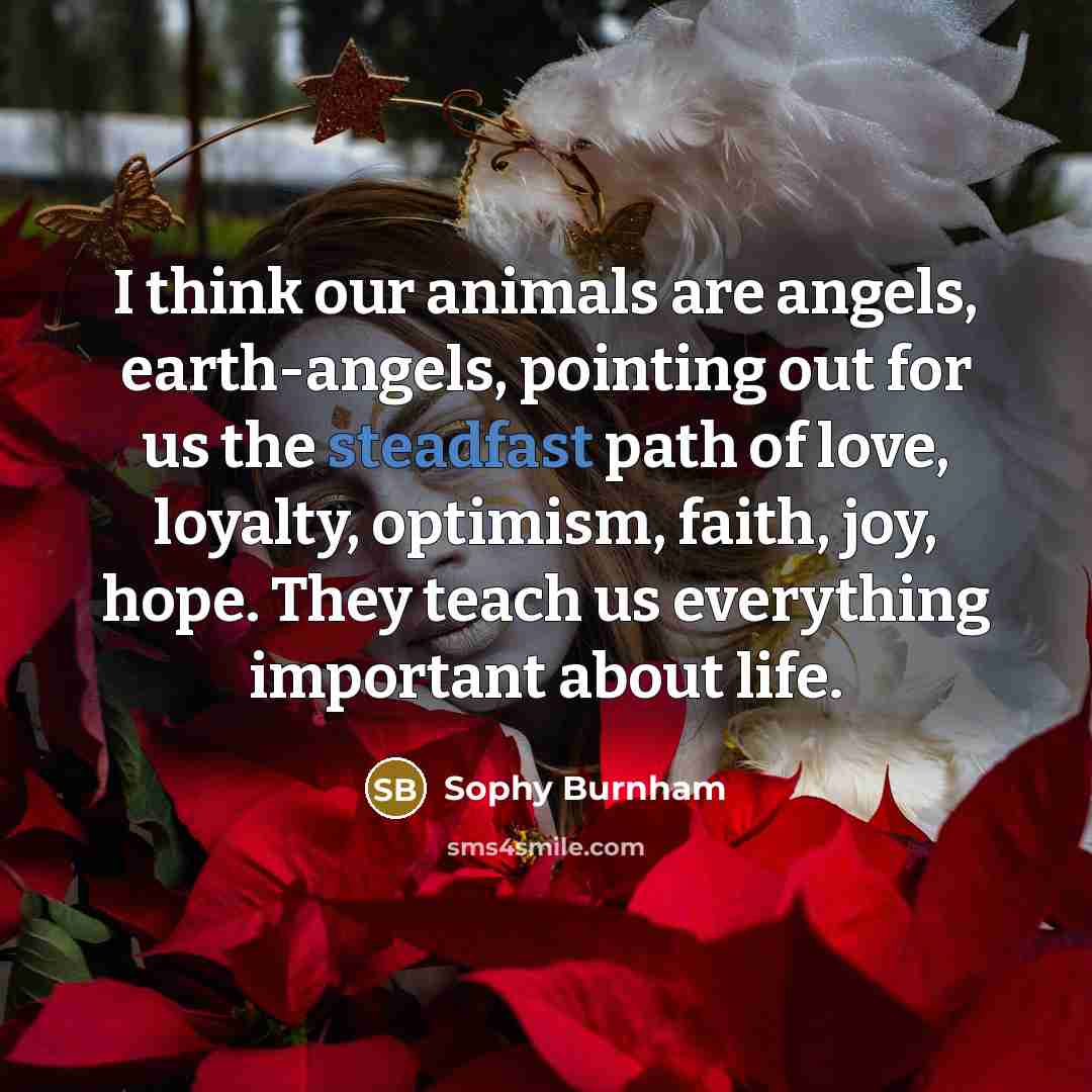 “I think our animals are angels, earth-angels, pointing out for…” quote by Sophy Burnham