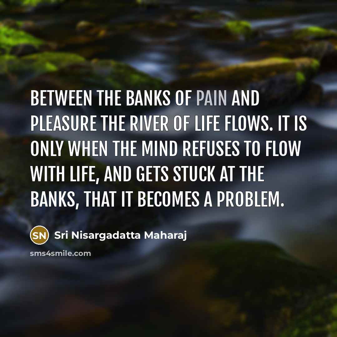 “Between the banks of pain and pleasure the river of…” quote by Sri Nisargadatta Maharaj